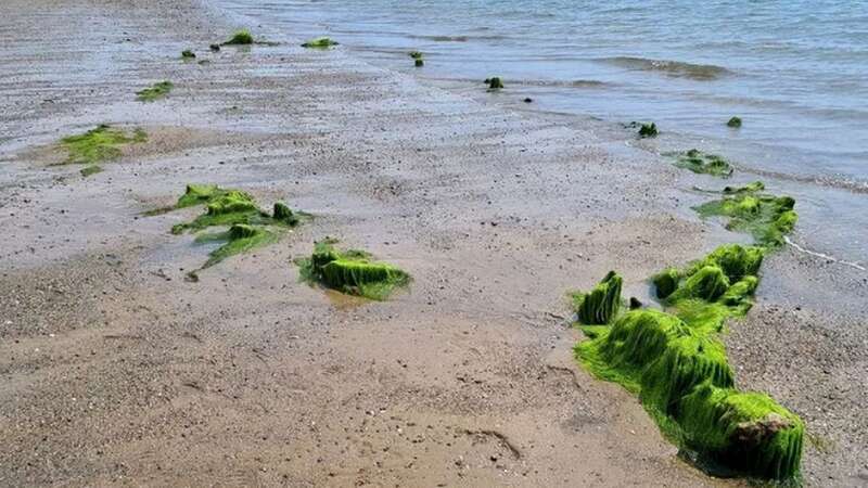 The remains of the ship are appearing on the beach at Abersoch (Image: Richard John Attenborough)