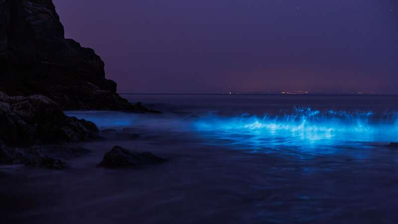 People snapping the unusual affect on a British beach (Image: Paul Jacobs/pictureexclusive.com)