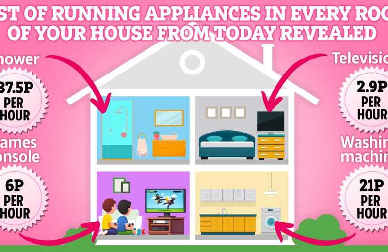 Costs of running household appliances from today revealed - what will you save?