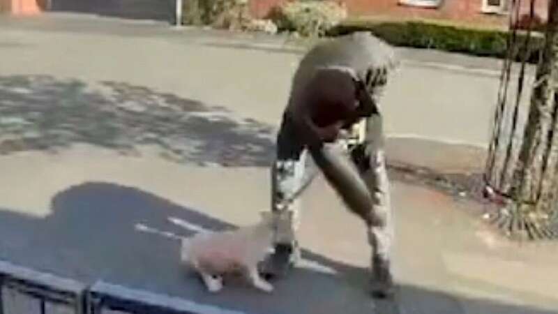 Distressing moment man caught on doorbell camera dragging and hitting puppy