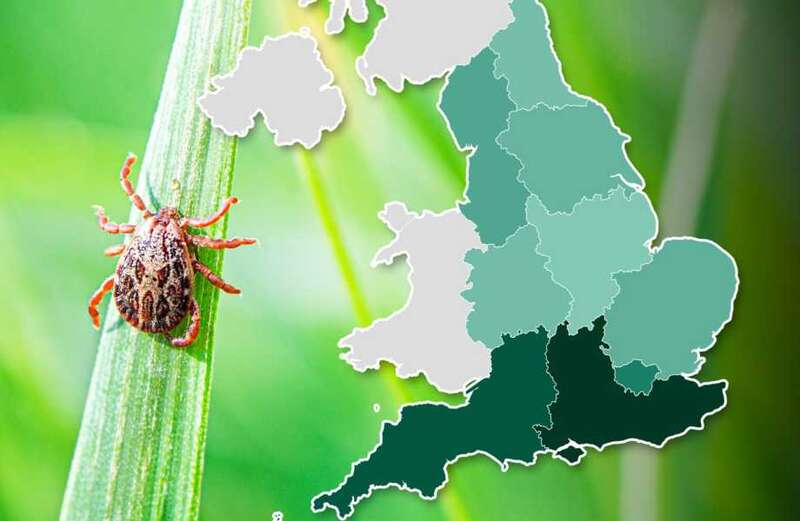 Map reveals Lyme disease hotspots in the UK - are you at risk?