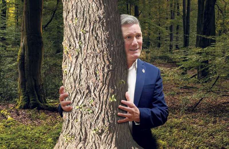 Sir Keir Starmer's claims he 'hates' tree huggers just don't stack up