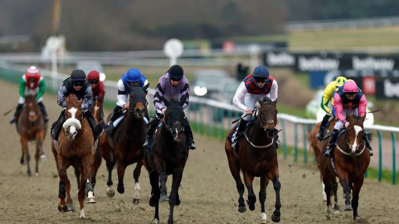 Lingfield hosts a six-race card on Wednesday, where Newsboy