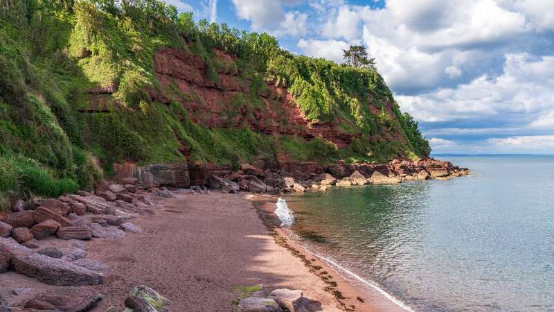 The beach is set to finally reopen (Image: Getty Images/iStockphoto)