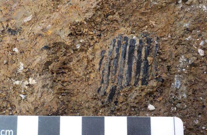 Britain's oldest comb found on building site in Wales