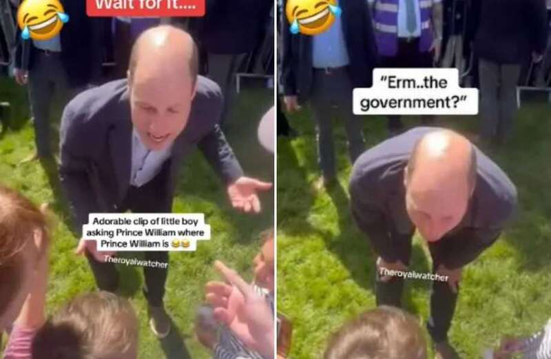 Hilarious moment little boy confuses Prince William for 'the government'