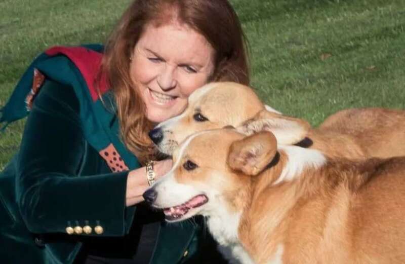 Fergie says walking Queen’s corgis is helping breast cancer recovery