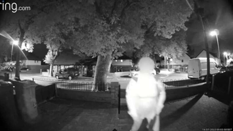 Ring doorbell captures moment woman wielding 