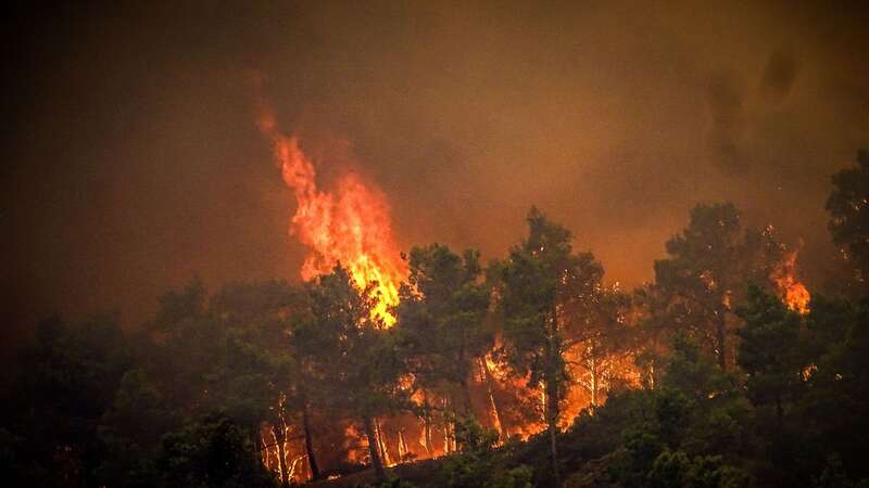 Pine trees burning in a wildfire on the Greek island of Rhodes (Image: Eurokinissi/AFP via Getty Images)