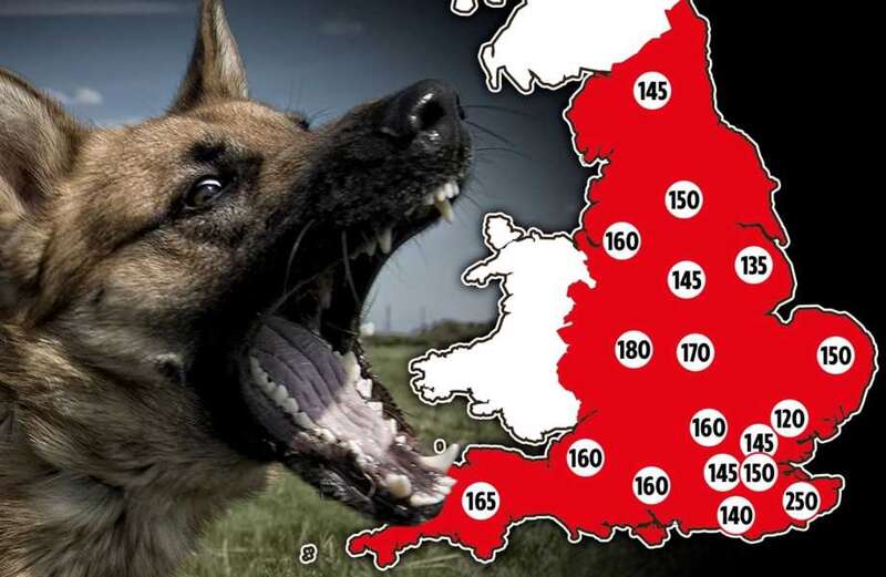 UK hotspots for dog attacks revealed as thousands injured after maulings