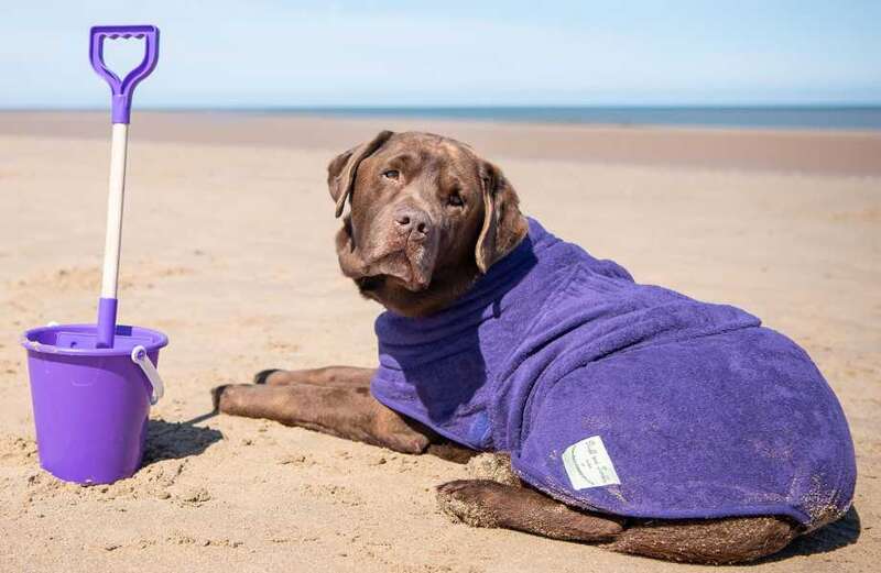 13 best dog drying coats 2023 UK; including fleeces and robes