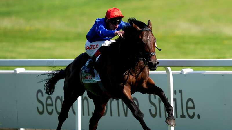 Godolphin Derby hero Adayar who earned £2million retired to stud