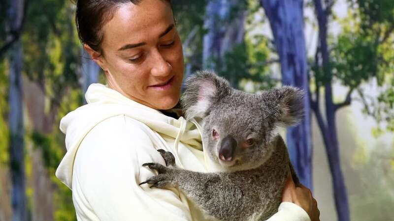 Scooters, koalas, kangaroos - Inside Women