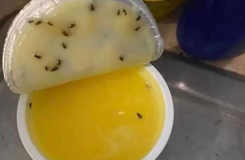 People are only just realising they can banish flies using leftover takeaways