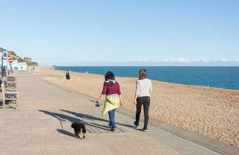 Urgent UK beach warning over little-known hazard which could KILL your dog