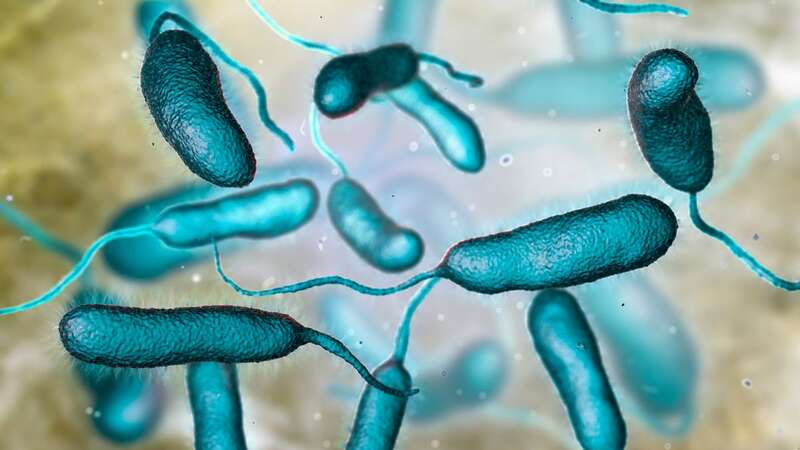 Warnings issued after three die from grim flesh-eating bacteria