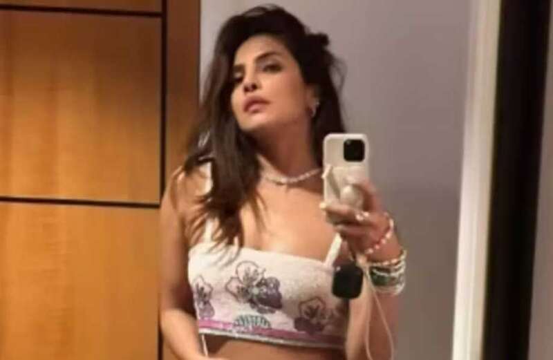 Priyanka Chopra stuns in revealing outfit at Jonas Brothers concert