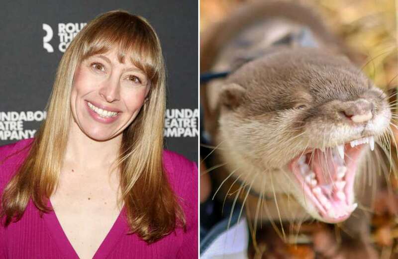 TV star hospitalised after being mauled by OTTER in second attack in days