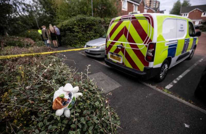 Blood-curdling screams as ‘masked gang storm flat’ and stab family of three