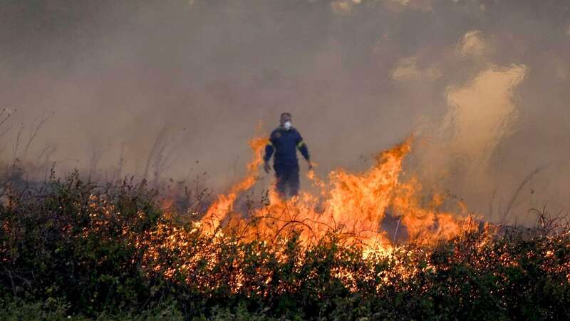 Man dies after trying to save livestock in Greece wildfires as tourists flee