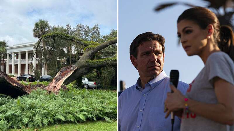 100-year-old oak tree smashed into the Florida governor