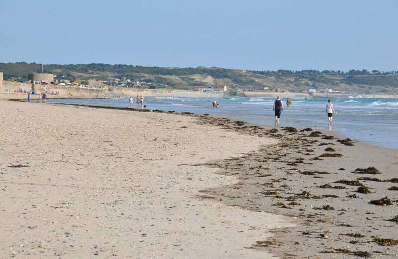 Warning as 'killer' jellyfish-like creatures wash up on British Isles beach