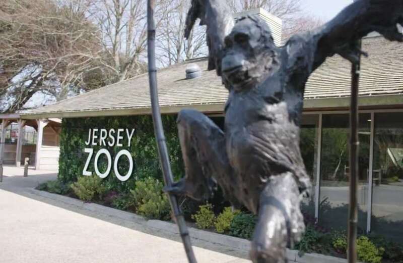 Crisis at legendary zoo after it's accused of trying to turn into Disneyland