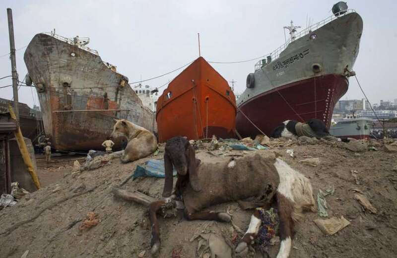 Inside ship graveyards where liners rot and child 'slaves' break them down