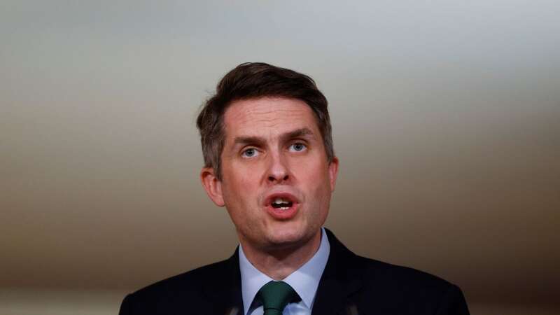 Sir Gavin Williamson quit Cabinet in November amid bullying allegations (Image: Getty Images)