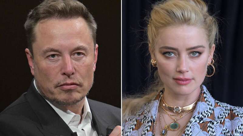 Inside Elon Musk and Amber Heard