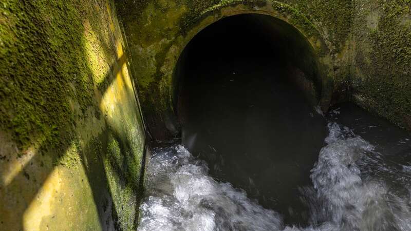 Water firms were accused of breaking the law (Image: Getty Images)