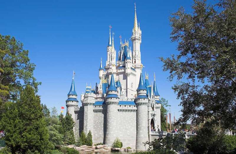 Disney's Magic Kingdom partially shut down after bear spotted hunting for food