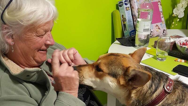 Wendy Hayes with Moosha the Belarusian rescue dog (Image: Wendy Hayes / SWNS)