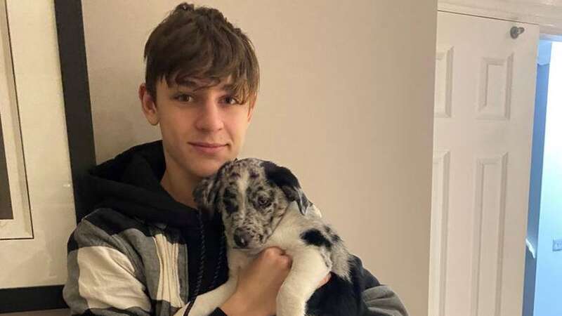 Jack Graham, 18, had been given a conditional offer to study mathematics at Lincoln College this year (Image: Andy Graham / SWNS)