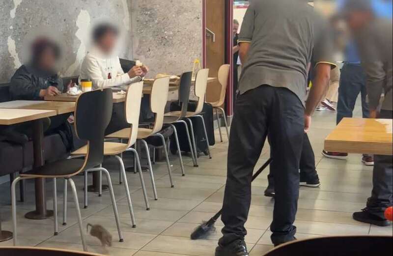 McDonald’s staff 'beat rat to death with broom as it ran around restaurant'