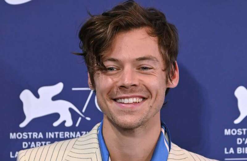 Harry Styles in surprise career move as he transforms new property