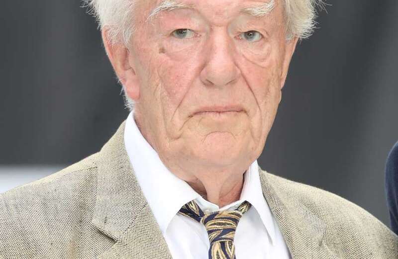 Find out if Sir Michael Gambon was in Lord of the Rings