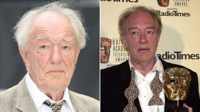 Michael Gambon