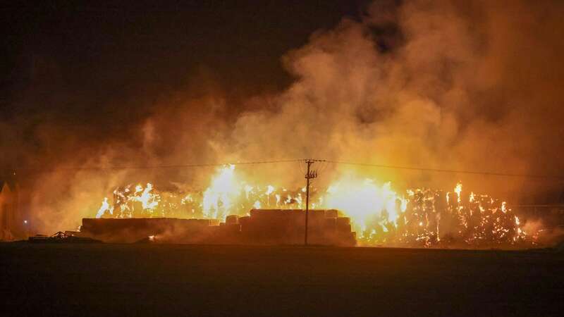 Fire fighters saved hundreds of cows from dying in a huge barn fire (Image: UKNIP)