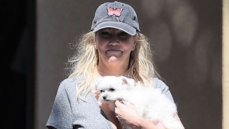 Heather Locklear cradled her dog during the outing