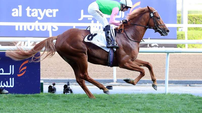 Sisfahan: the German Arc challenger was wrongly announced a non runner (Image: RACINGFOTOS.COM)