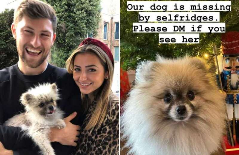 Spurs ace Davies makes plea to find missing dog taken outside London restaurant