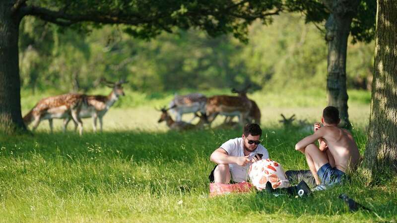 Brits can enjoy lazing in the park this October as temperatures rise (Image: PA)