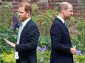 Wills is 'frustrated he can't reach out to Harry' & it’s causing him 'a headache’