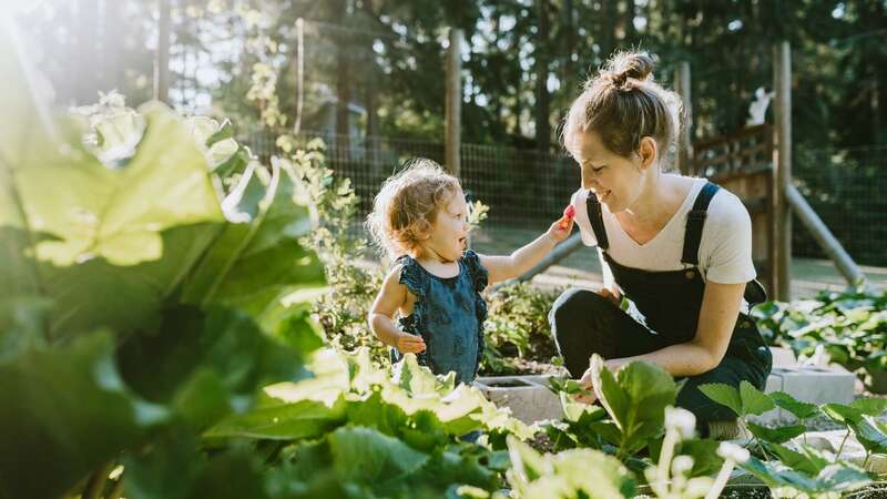 October is the best time to make sure your garden is winterproof (Stock Image) (Image: Getty Images)