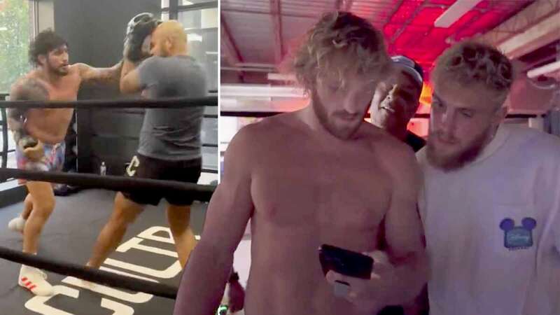 Jake and Logan Paul in disbelief at Dillon Danis