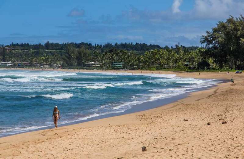 Surfer 'attacked' by large shark off US coast sparking beach closures