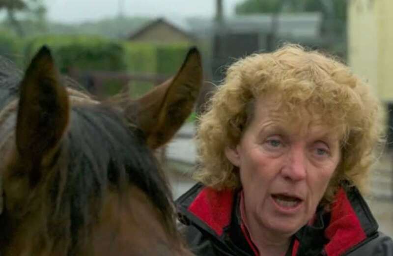 Countryfile fans rip into BBC for ‘uncomfortable’ animal cruelty scenes