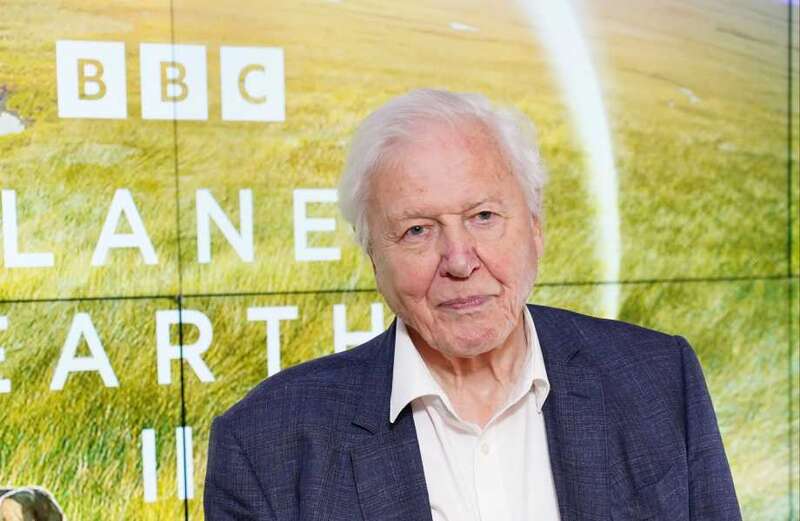 David Attenborough still haunted by ‘most depressing thing’ he’s seen in career