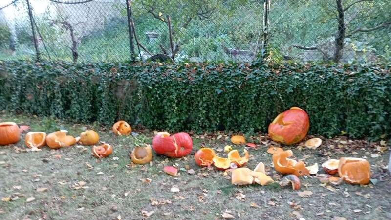 The sad remains of the stomped pumpkins near the church (Image: Facebook)